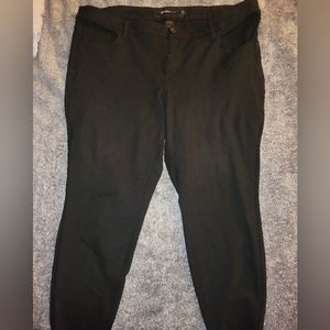 Torrid Touser